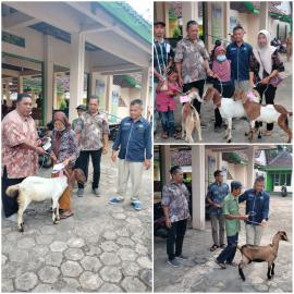 PENYALURAN BANTUAN KAMBING 